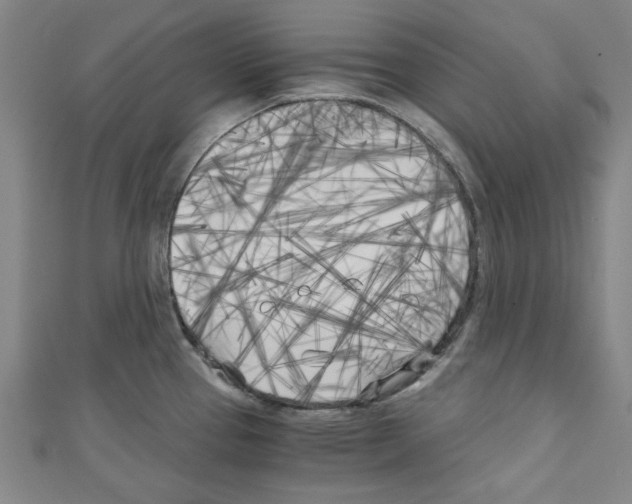 X0000110321337200907021153