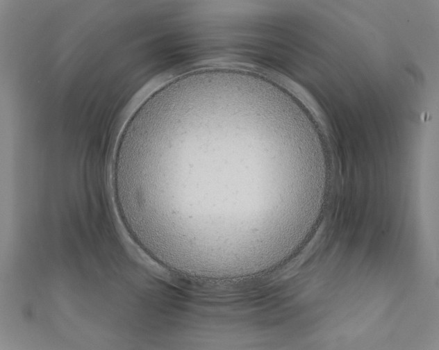 X0000110321338200907021153