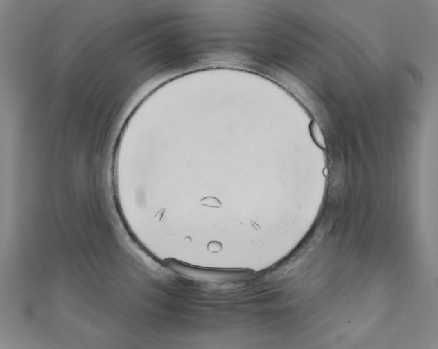 X0000110321339200907021153