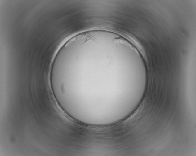 X0000110321340200907021153