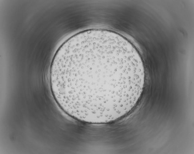 X0000110321343200907021153