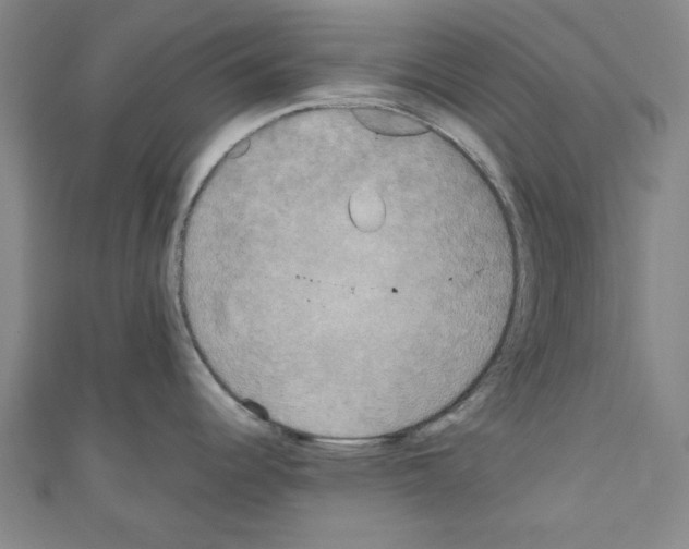 X0000110321344200907021153