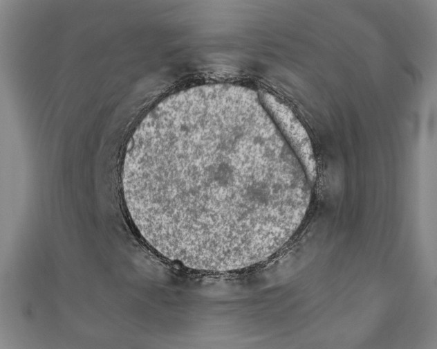 X0000110321345200907021153