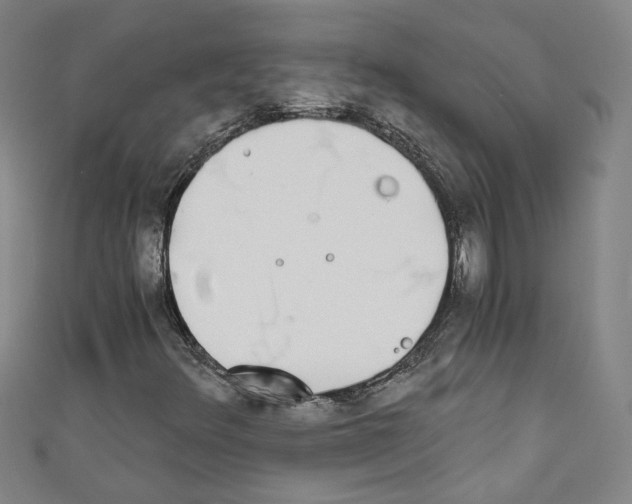 X0000110321348200907021153