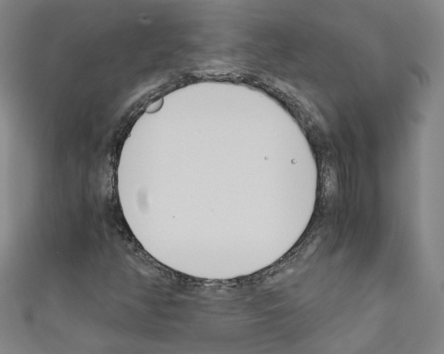 X0000110321350200907021153