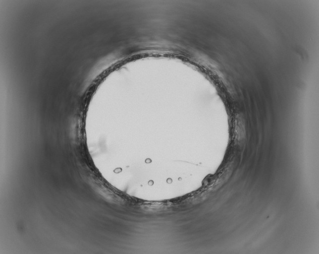 X0000110321352200907021153