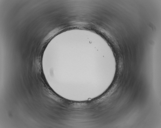 X0000110321354200907021153