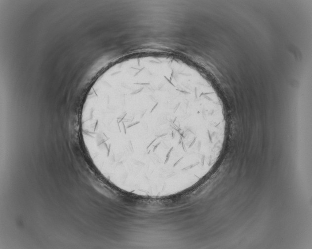 X0000110321355200907021153