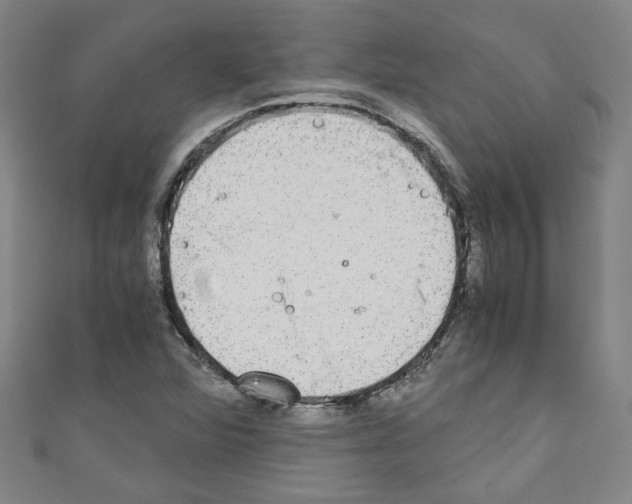 X0000110321360200907021152