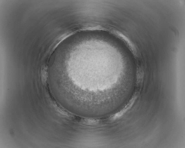 X0000110321361200907021152