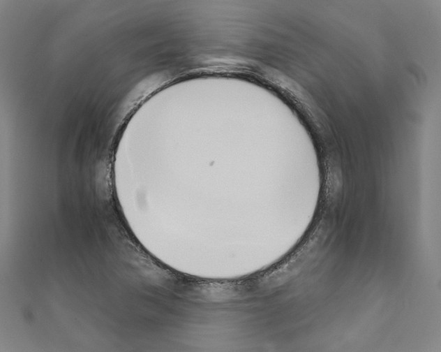 X0000110321362200907021152