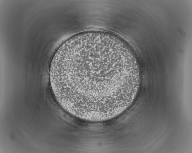 X0000110321363200907021152