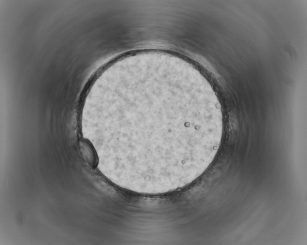 X0000110321364200907021152