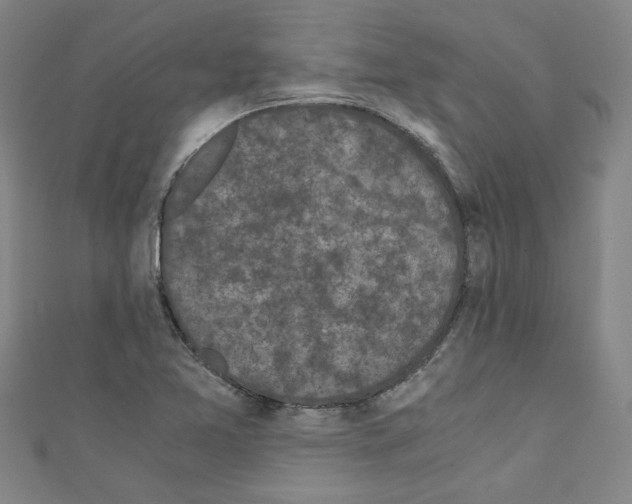 X0000110321365200907021152