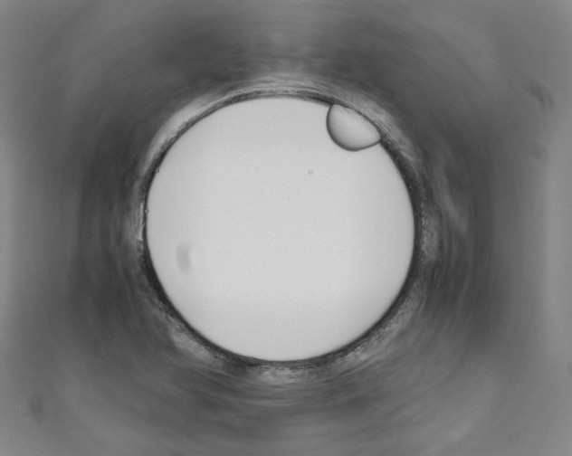 X0000110321366200907021152