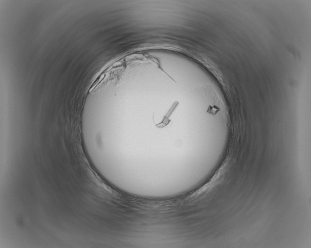 X0000110321369200907021152