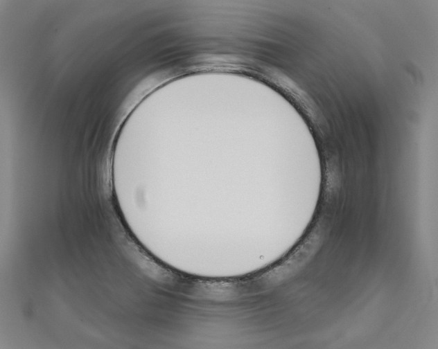 X0000110321370200907021152