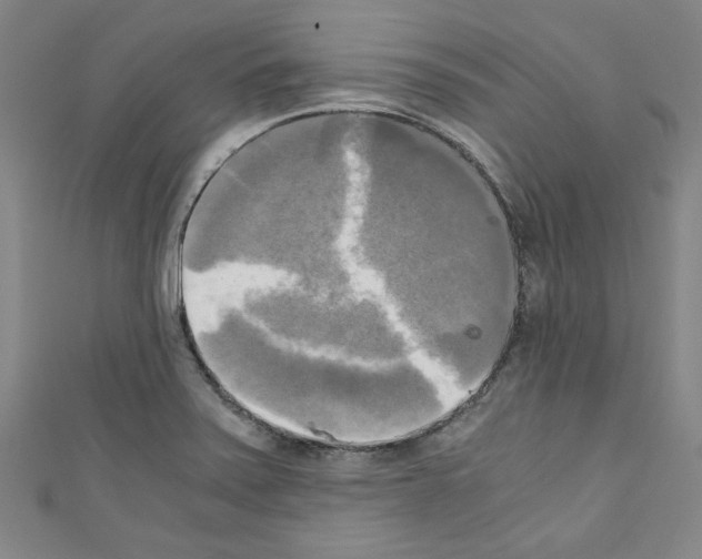 X0000110321371200907021152