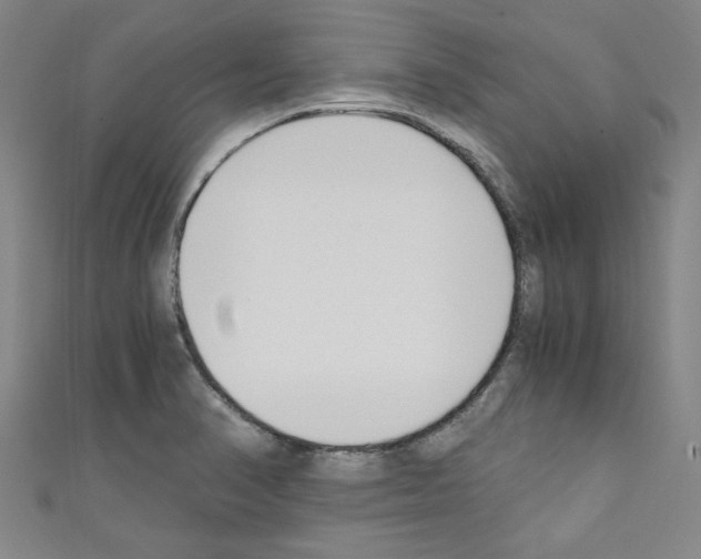 X0000110321374200907021152