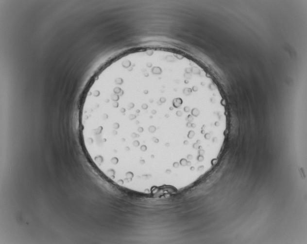 X0000110321376200907021152