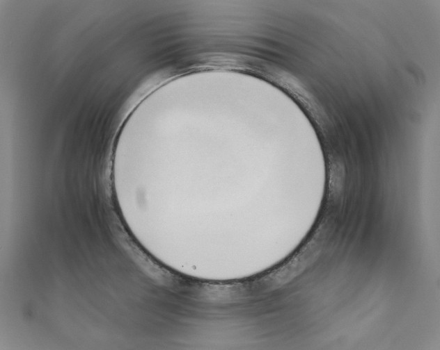 X0000110321378200907021152