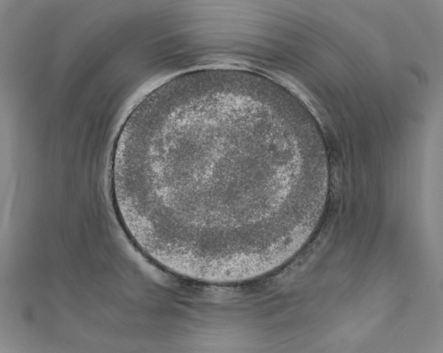 X0000110321379200907021152