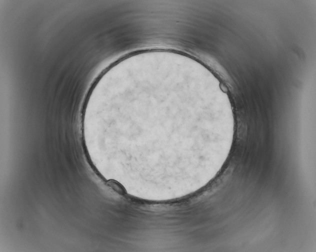 X0000110321380200907021152