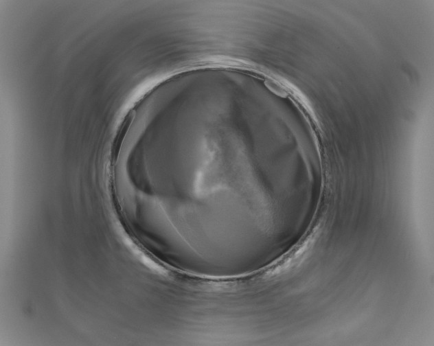 X0000110321381200907021152