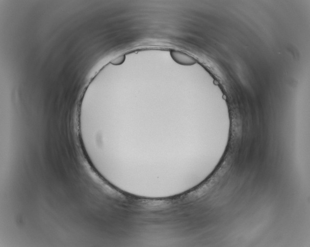 X0000110321382200907021152