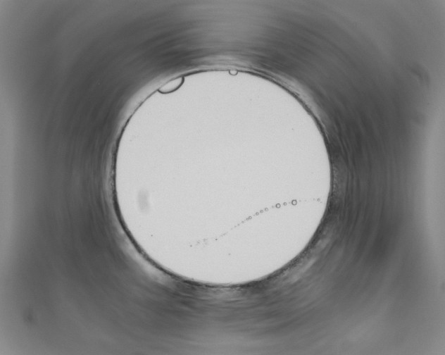 X0000110321387200907021152