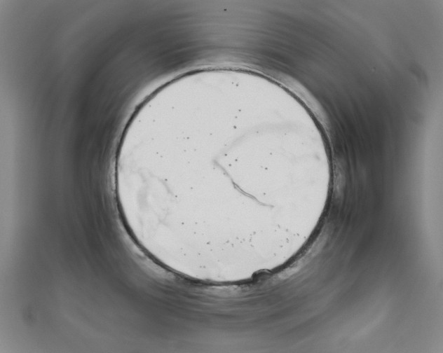 X0000110321388200907021152