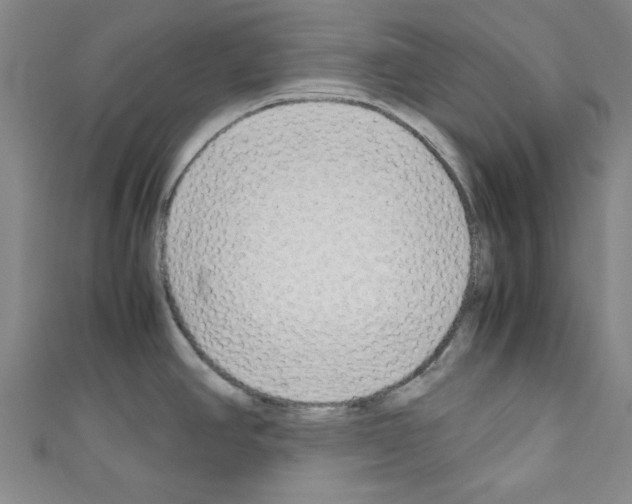 X0000110321390200907021152