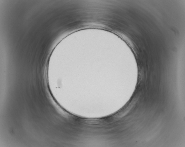 X0000110321391200907021152