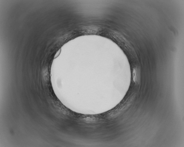 X0000110321395200907021151