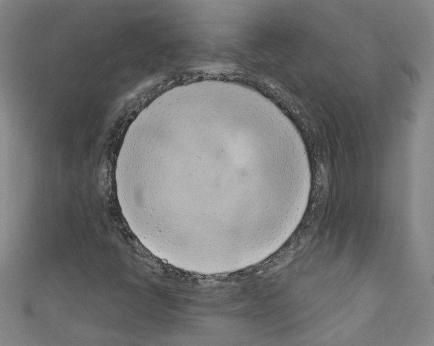 X0000110321398200907021152