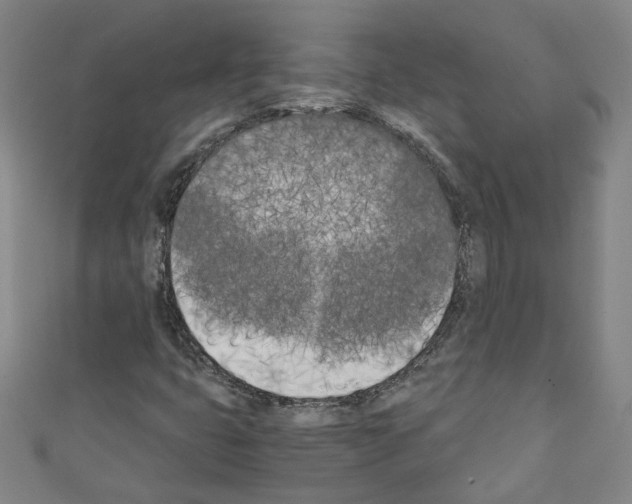 X0000110321399200907021152