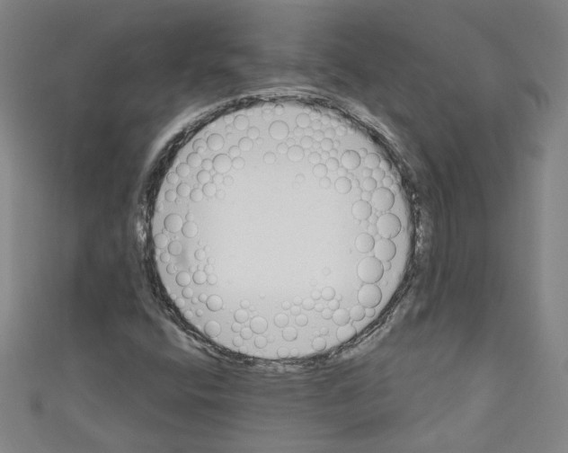 X0000110321400200907021152