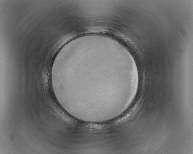 X0000110321401200907021152