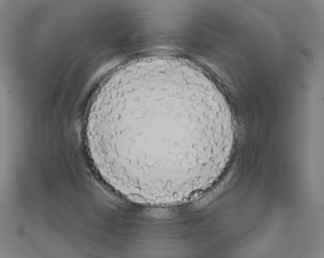 X0000110321402200907021152