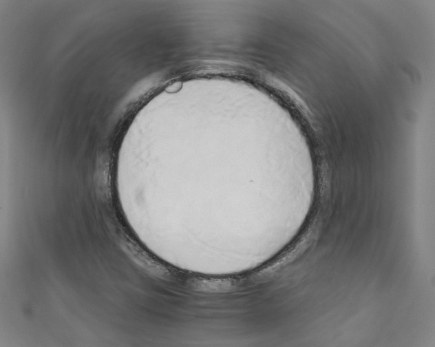 X0000110321403200907021152