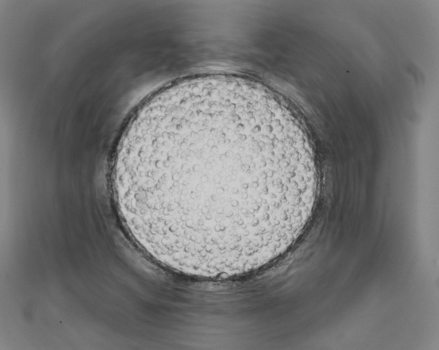 X0000110321404200907021152