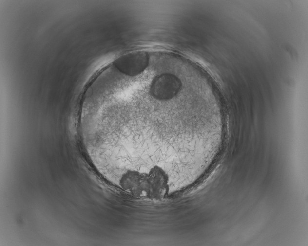 X0000110321405200907021152