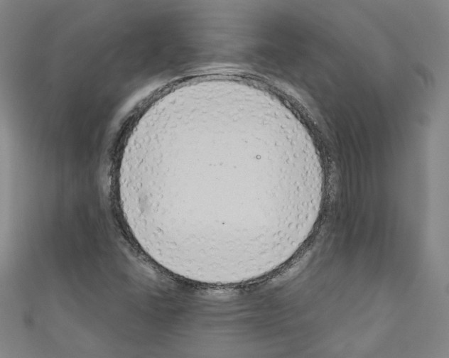 X0000110321406200907021152