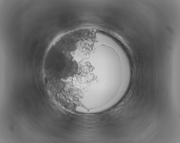 X0000110321408200907021152