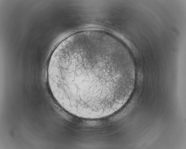 X0000110321413200907021152