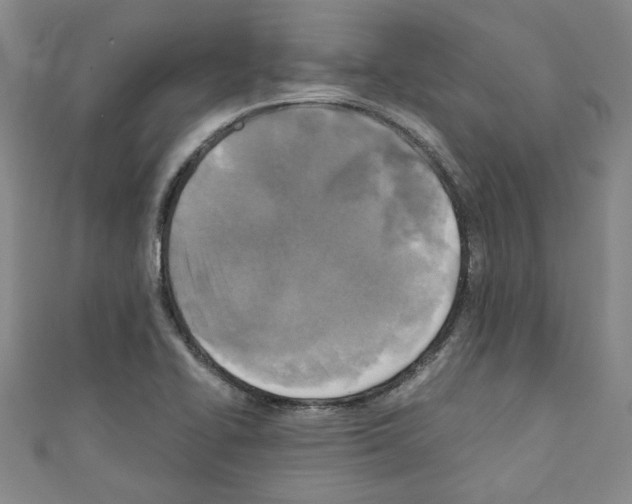 X0000110321414200907021152