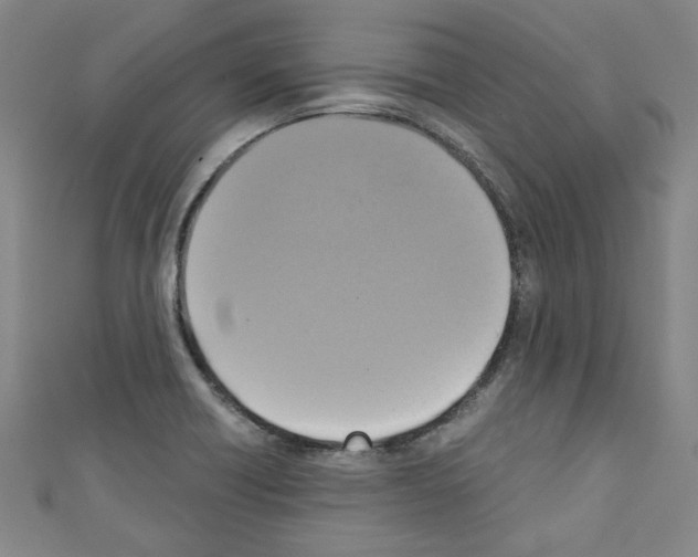 X0000110321418200907021152