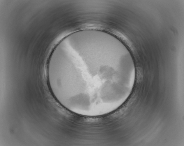 X0000110321419200907021152