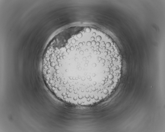 X0000110321420200907021152