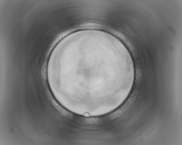 X0000110321421200907021152